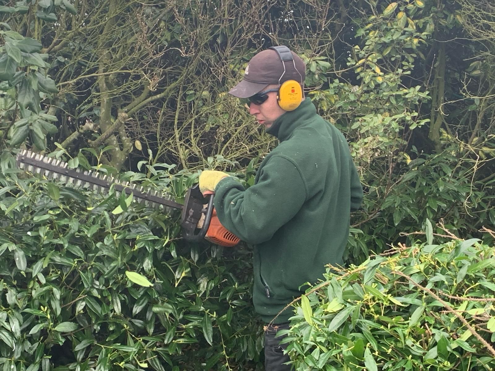 A man is cutting a hedge with a hedge trimmer.