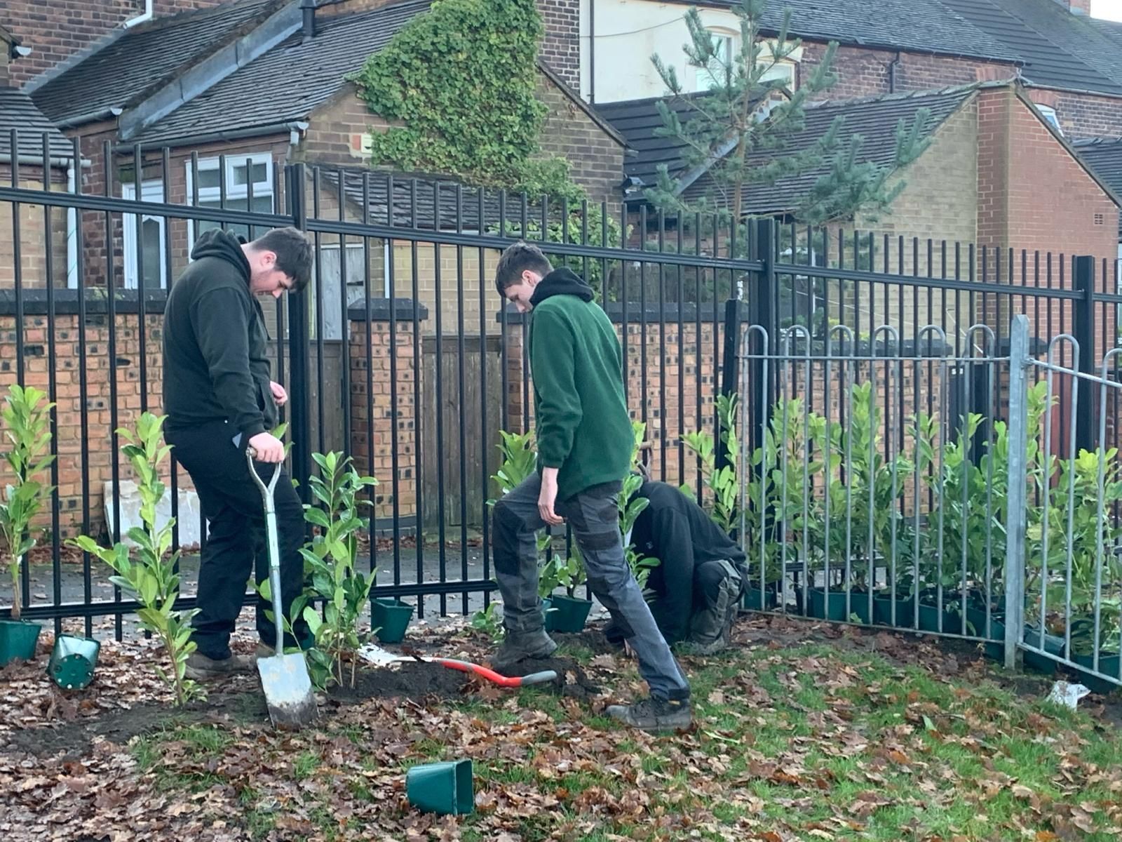 Two men are planting trees in a garden next to a fence.