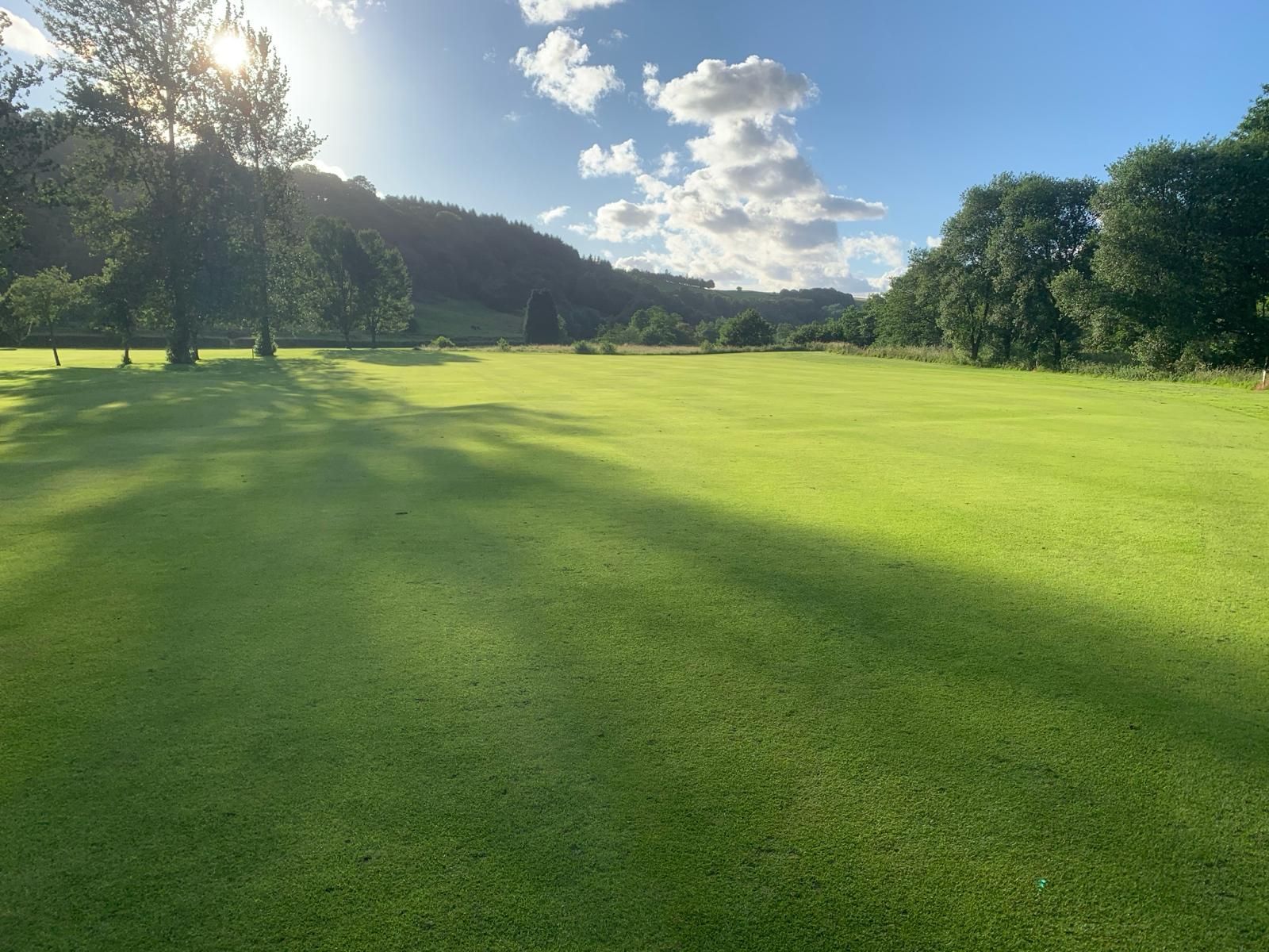 A lush green field with trees in the background