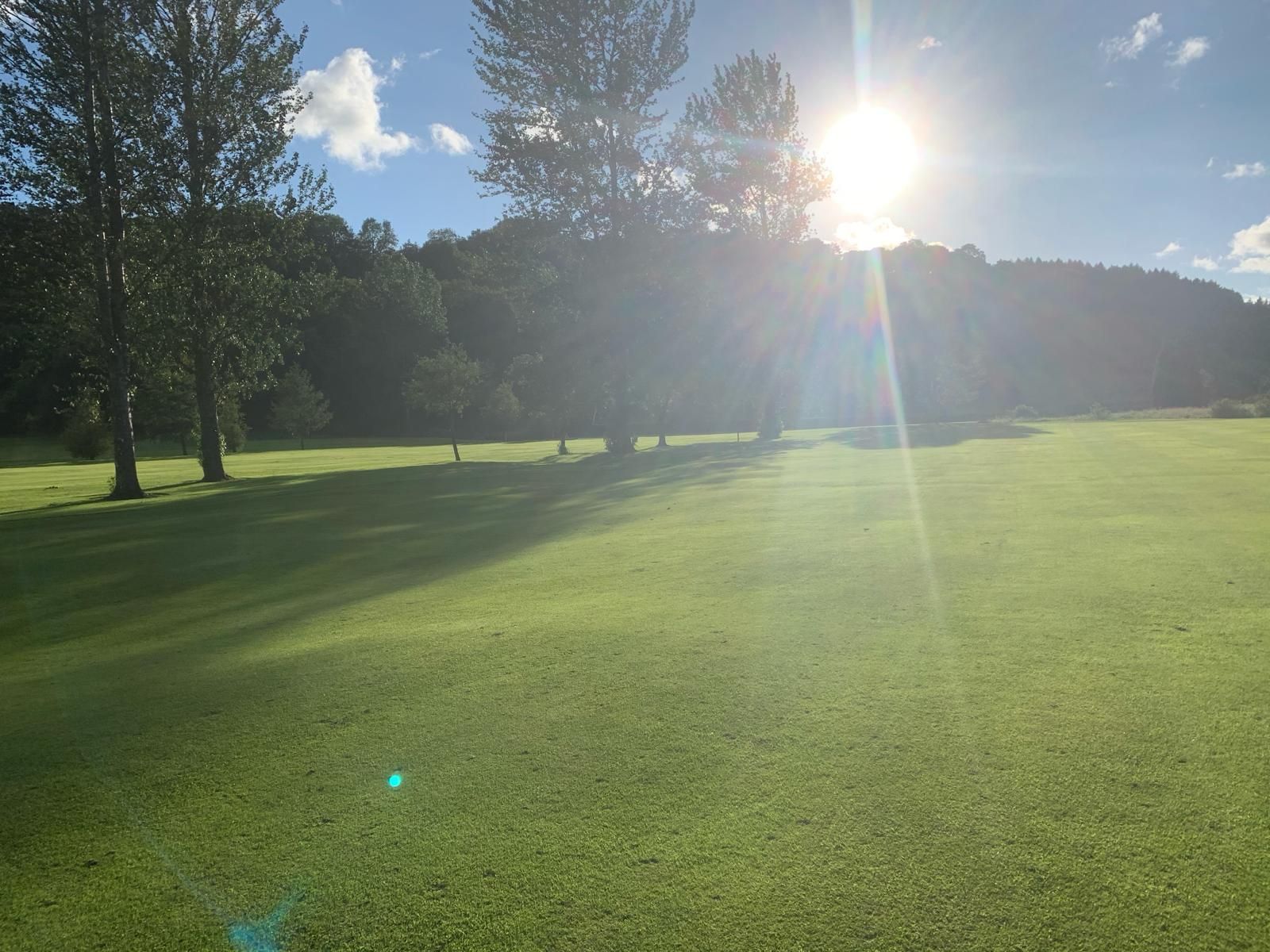The sun is shining through the trees on a golf course