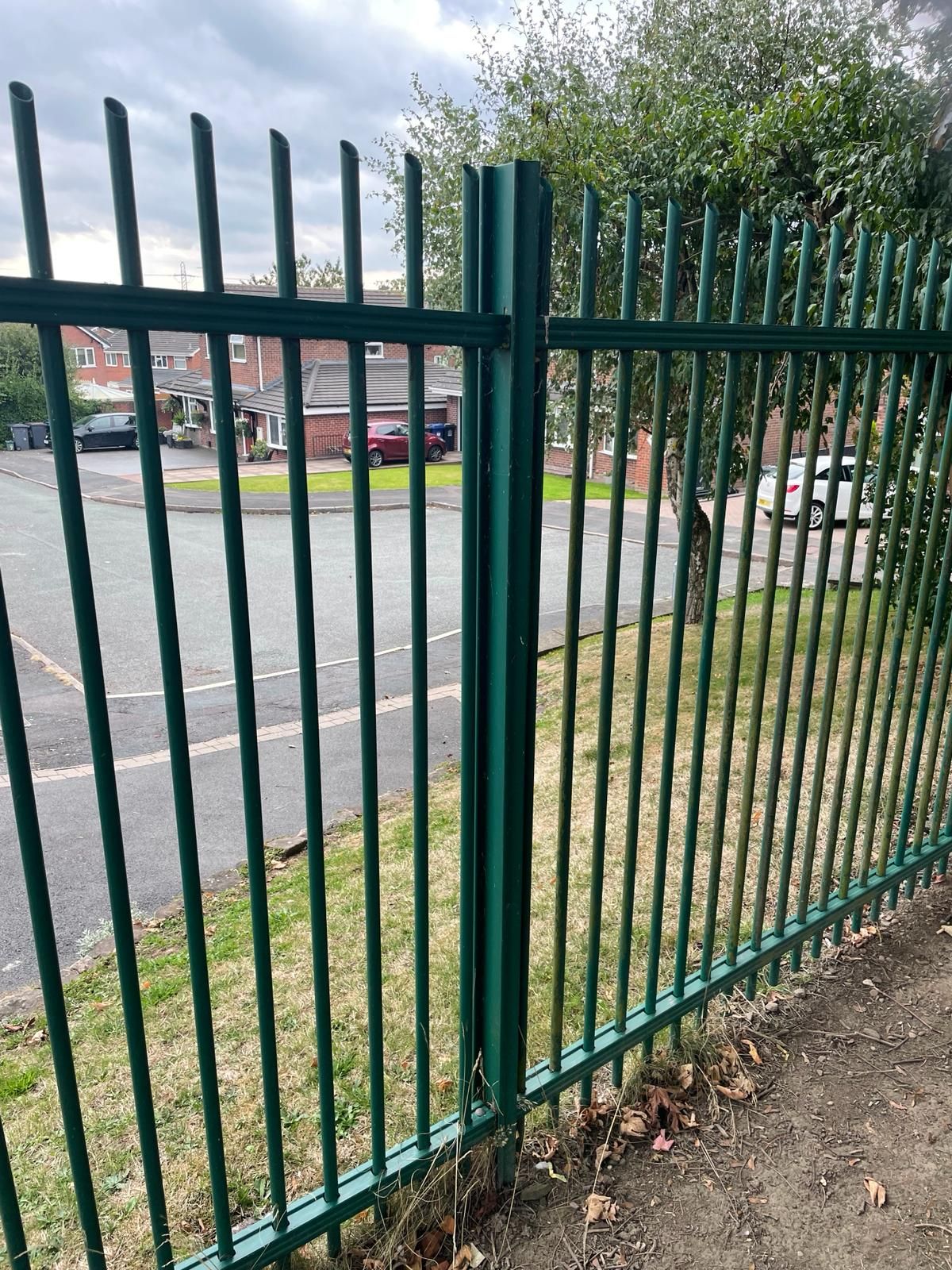A green metal fence with a gate in the middle of a park.