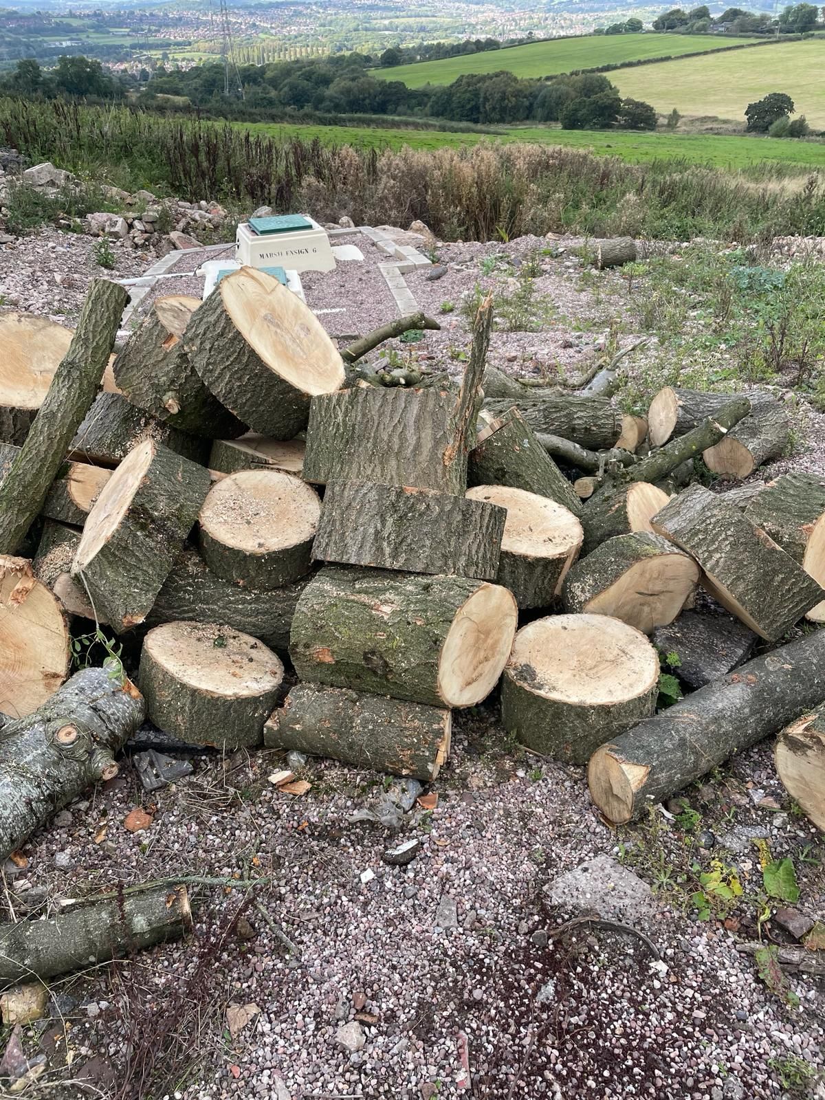 A pile of logs sitting on top of a dirt field.