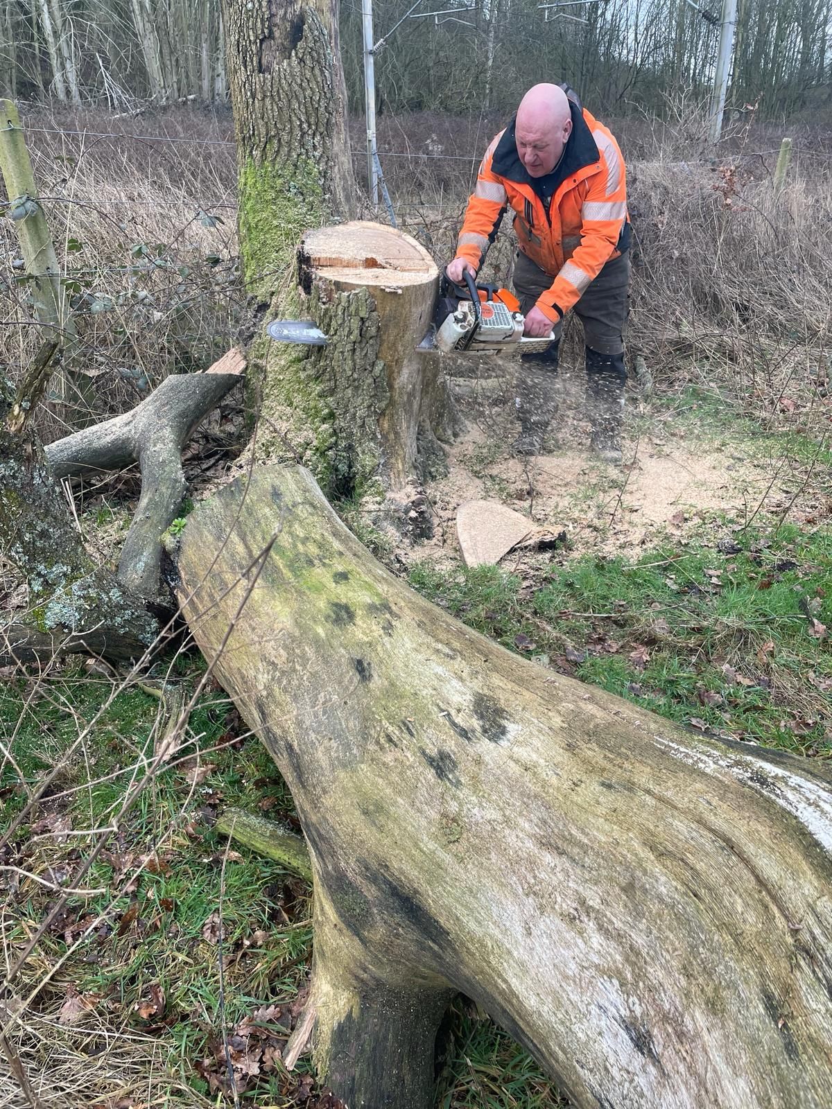 A man is cutting a tree stump with a chainsaw.