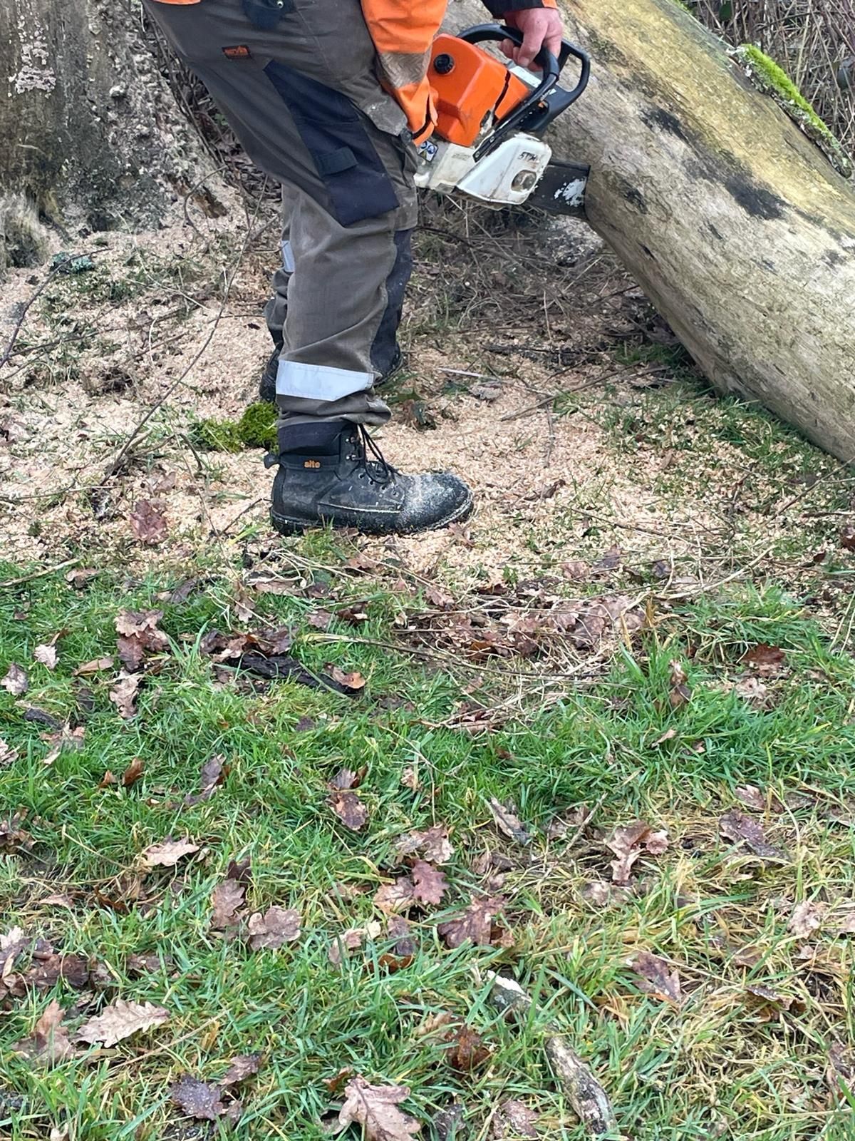 A person is cutting a tree with a chainsaw.