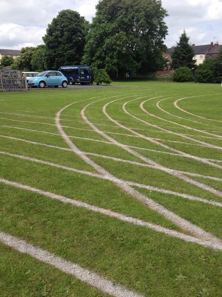 A green field with white lines on it and a blue car parked in the background.