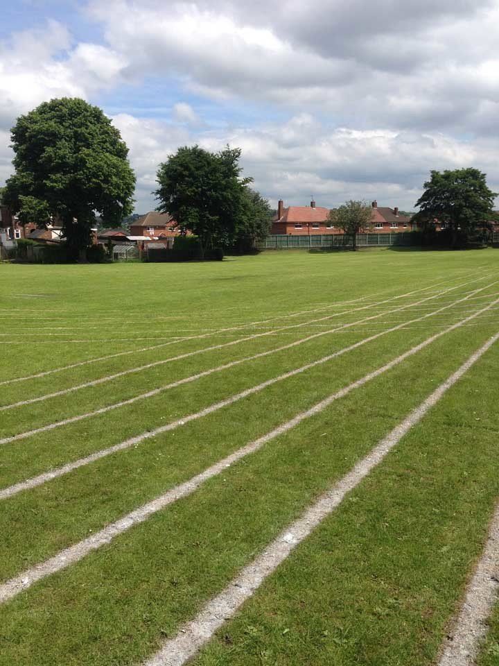 A lush green field with white lines on the grass
