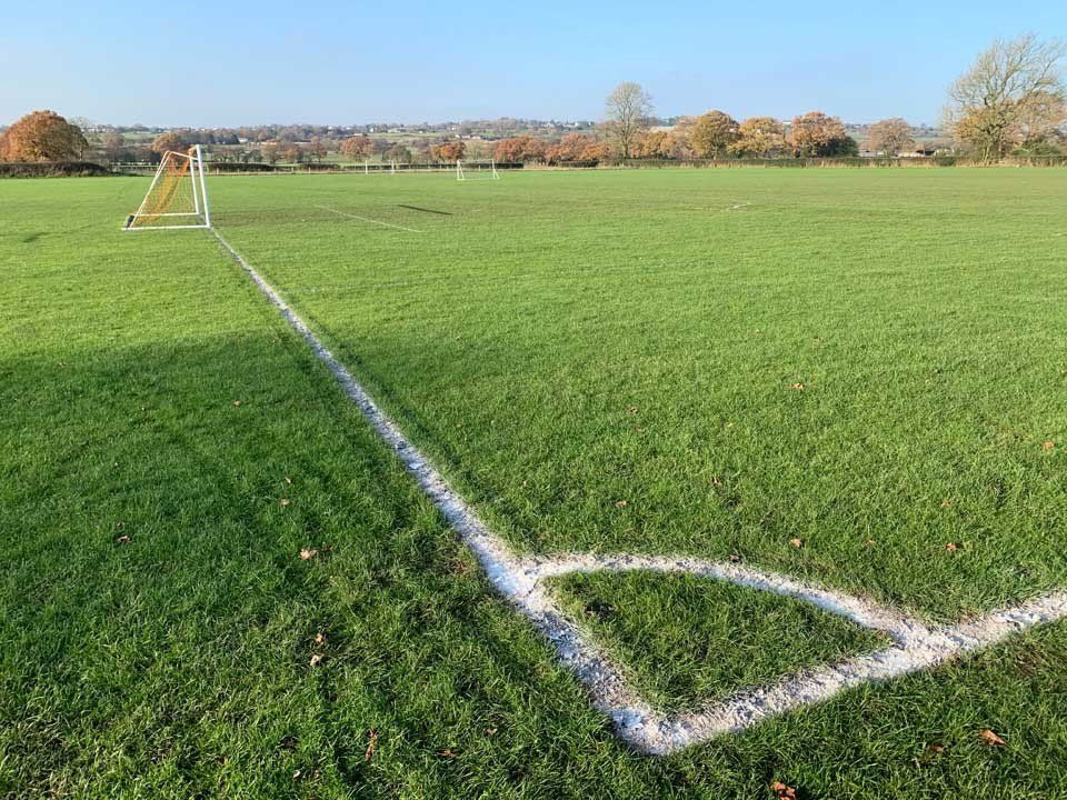 A soccer field with a white line drawn on the grass.