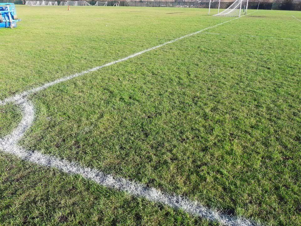 A soccer field with a white line on the grass.