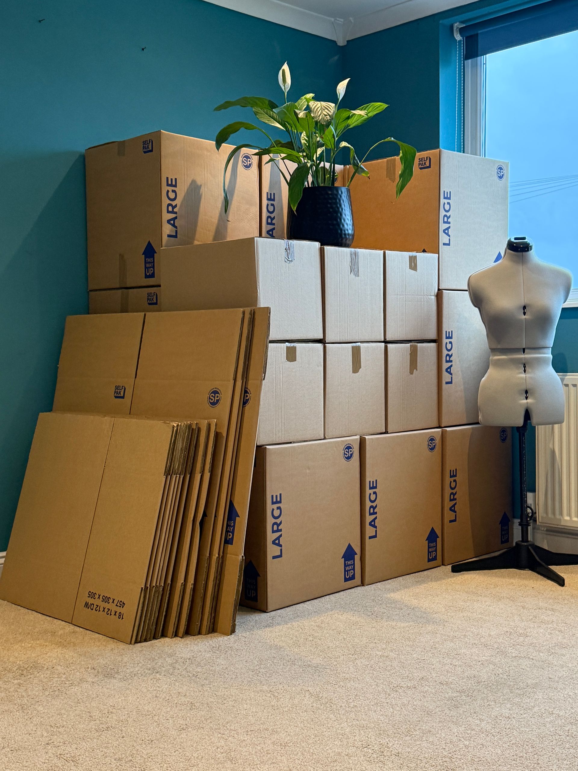 Photo of Removal Boxes, some loaded and some still flat packed