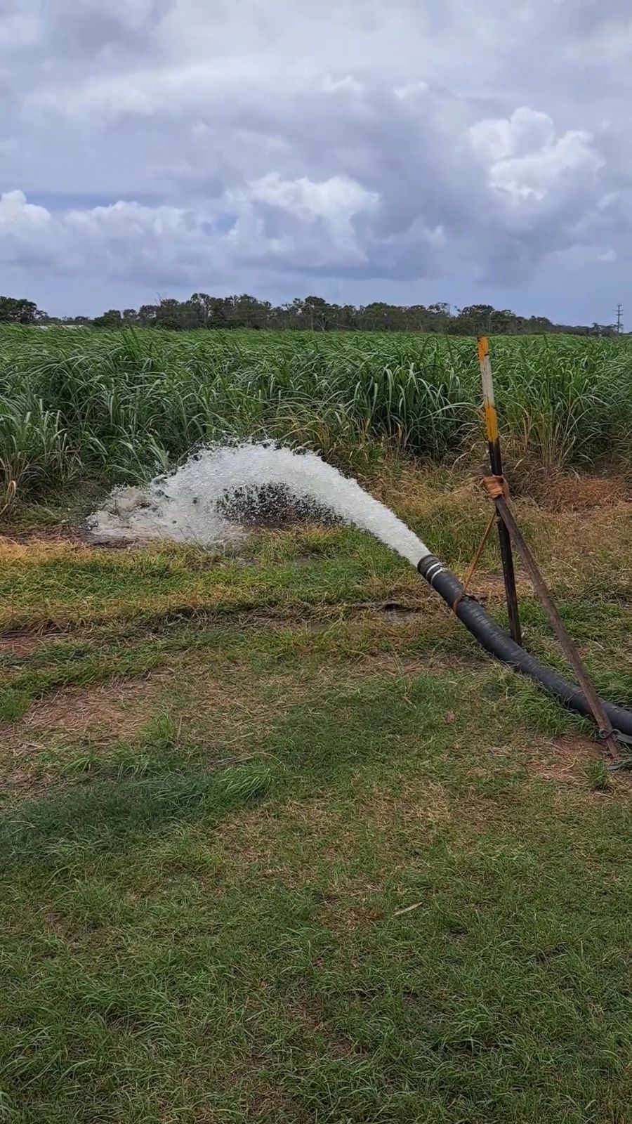 Water Spraying From a Hose Onto Grassy Field — Wilson's Drilling in South Kolan, QLD
