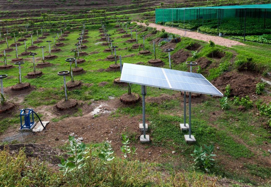Solar Panel Powering an Irrigation System in an Orchard — Wilson's Drilling in Agnes Water, QLD