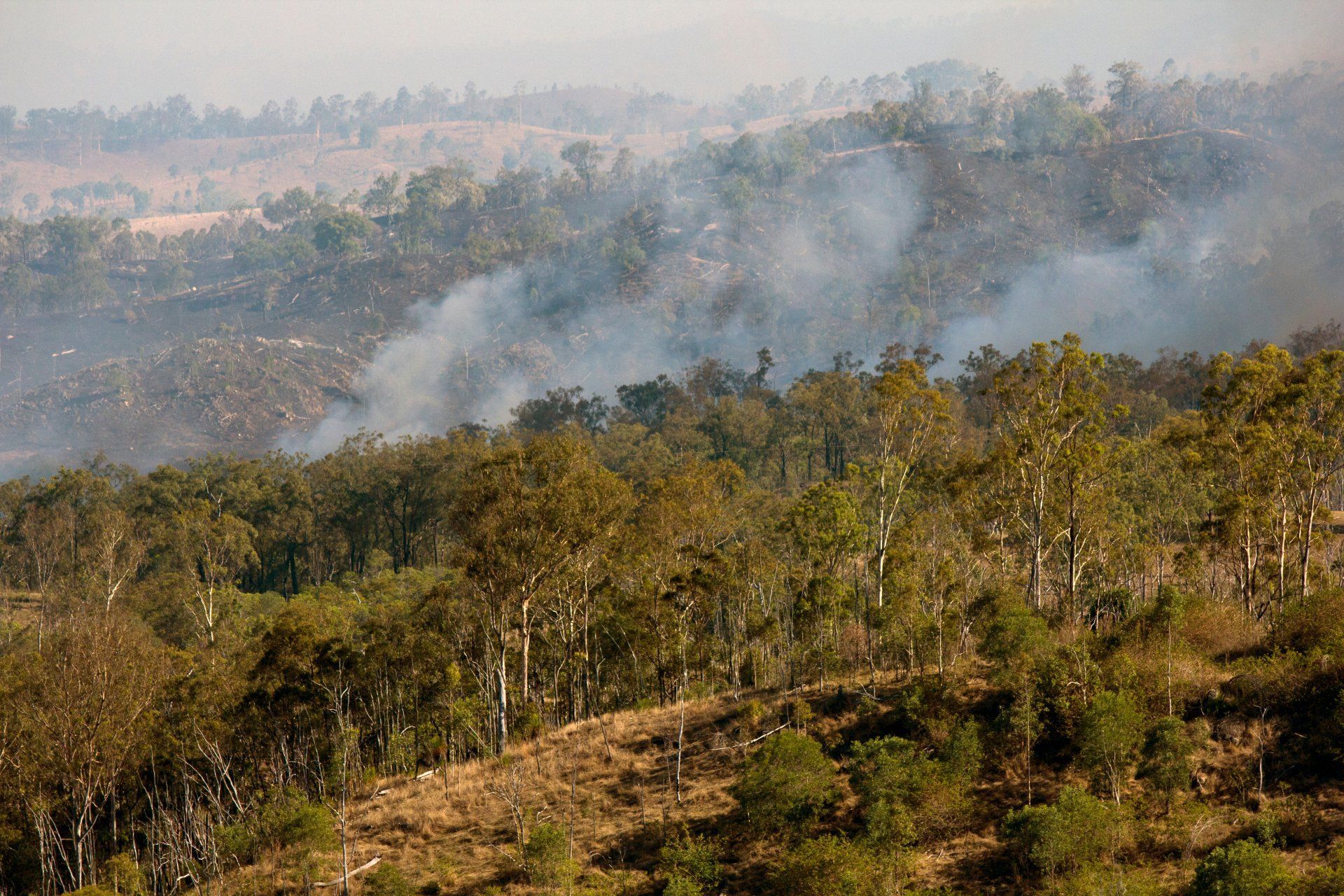 Forest With Smoke Rising, Potentially From a Fire — Wilson's Drilling in Mount Perry, QLD