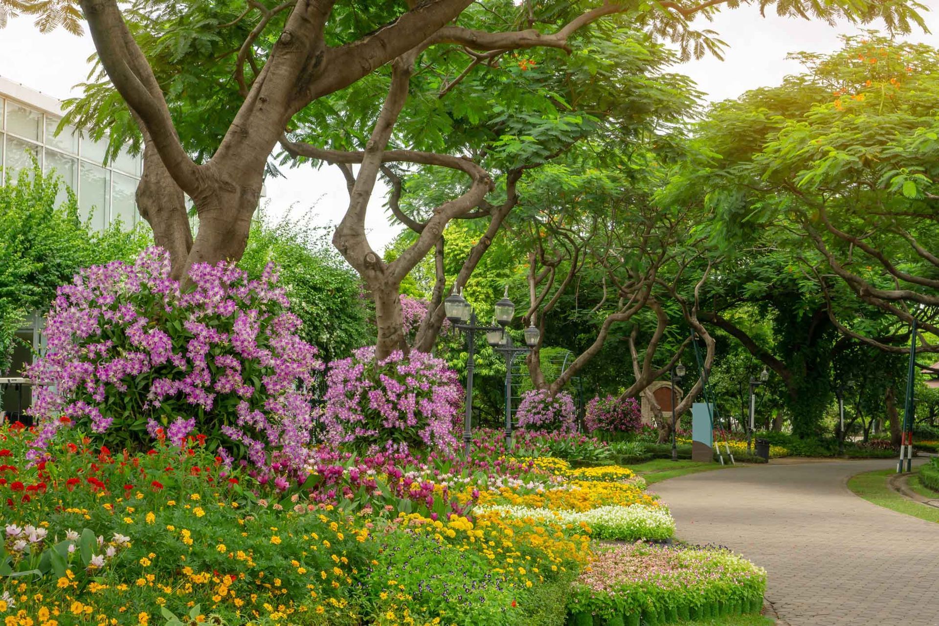 A colorful garden with blooming flowers, trees, and a path. Sunlight streams through the leaves.