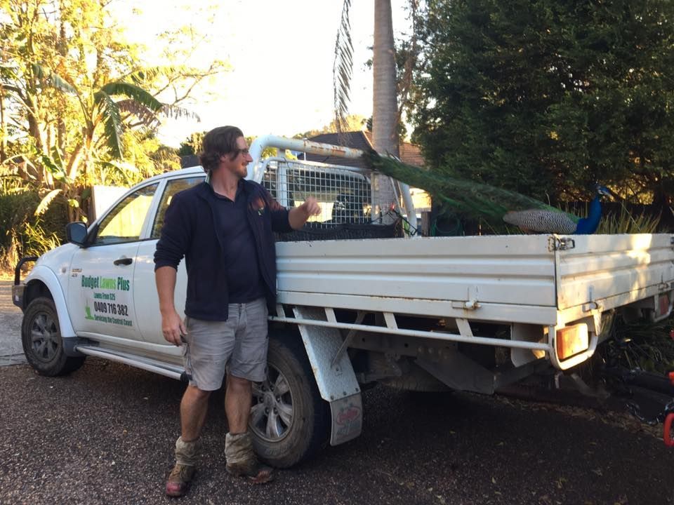 A Man is Standing next to a White Truck | Central Coast, NSW | Budget Lawns Plus