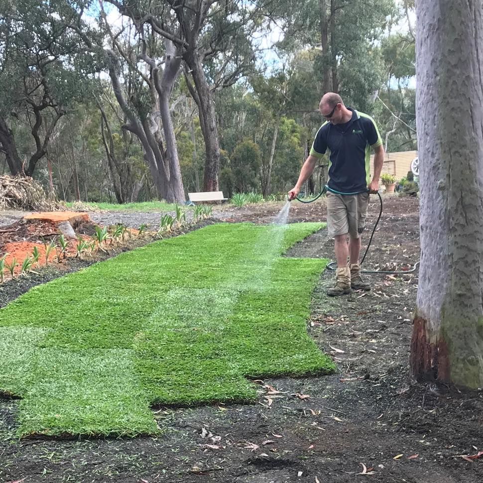 A Man is Spraying Grass with a Hose in a Park | Central Coast, NSW | Budget Lawns Plus