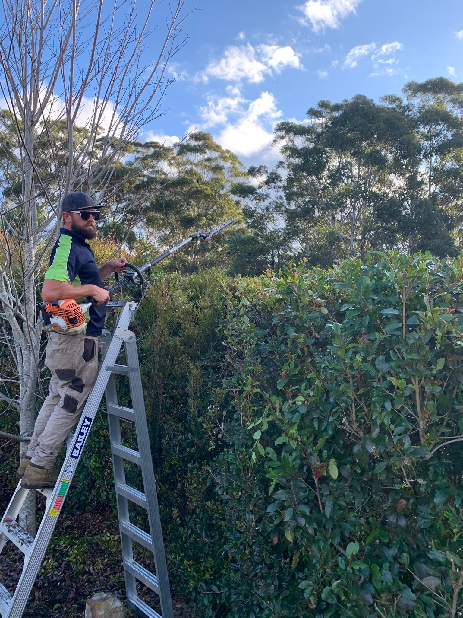 A Man is Standing on a Ladder Cutting a Hedge with a Chainsaw | Central Coast, NSW | Budget Lawns Plus