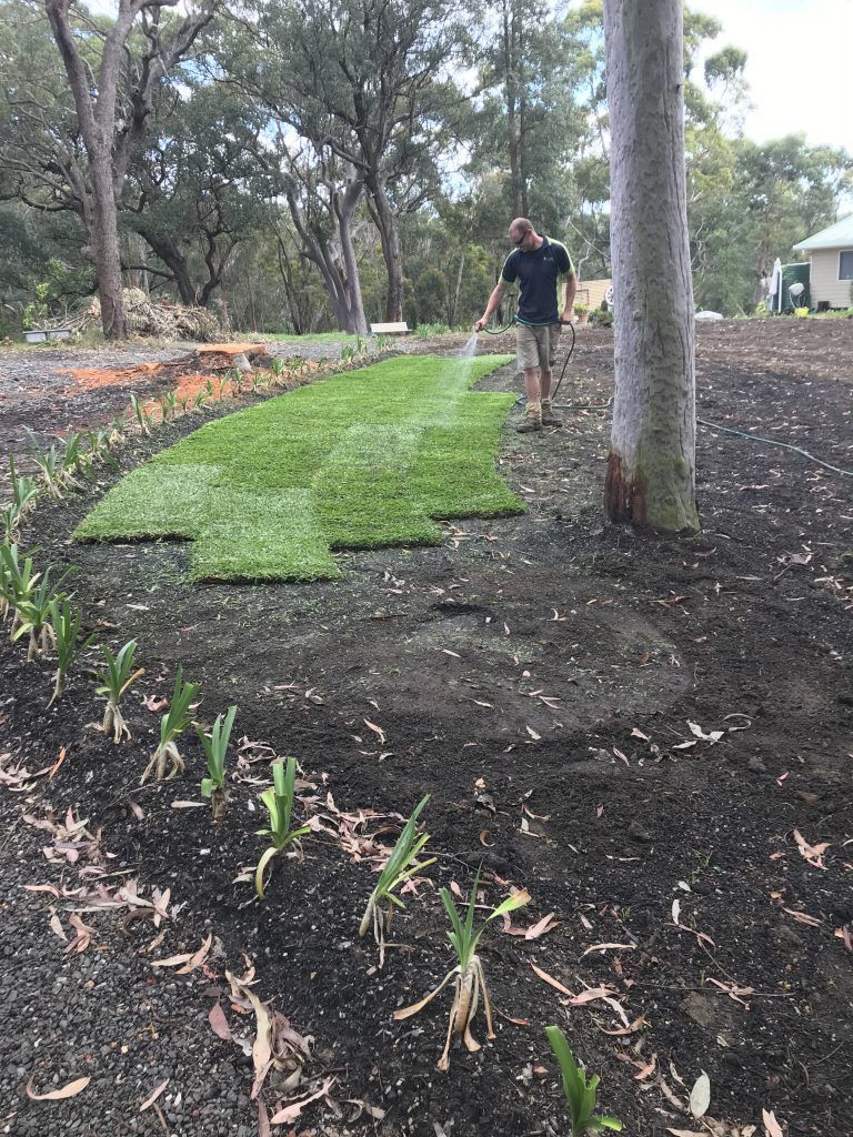 A Man is Watering a Lawn with a Hose | Central Coast, NSW | Budget Lawns Plus