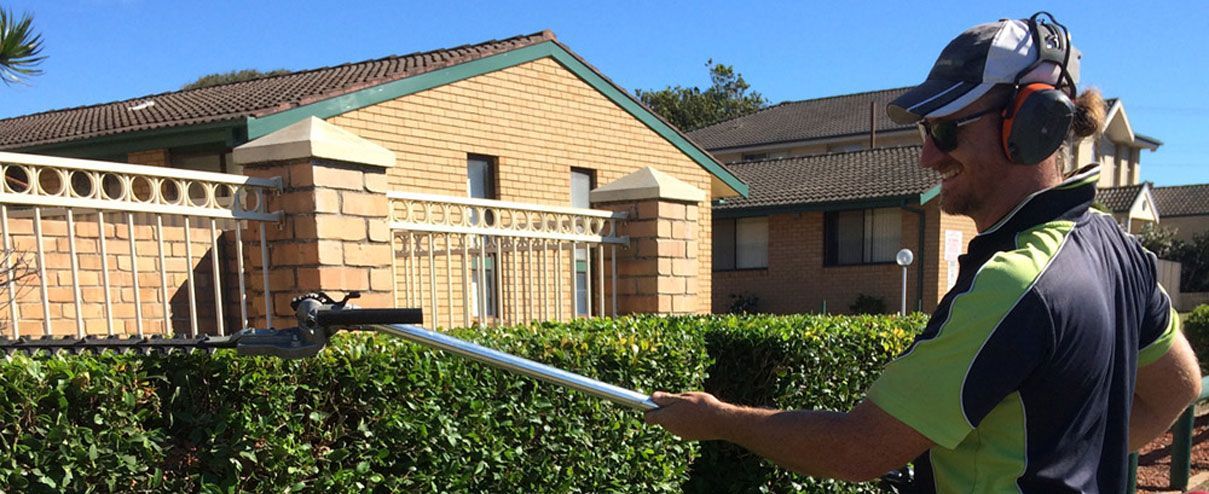 A Man is Cutting a Hedge with a Hedge Trimmer in front of a House | Central Coast, NSW | Budget Lawns Plus