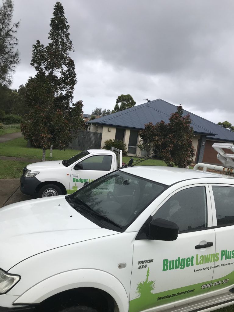 Two White Trucks are Parked in front of a House | Central Coast, NSW | Budget Lawns Plus