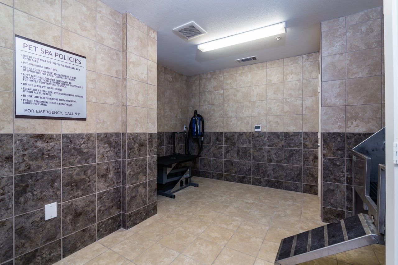 Pet spa/grooming area with tiled walls, grooming chair, and stairs.