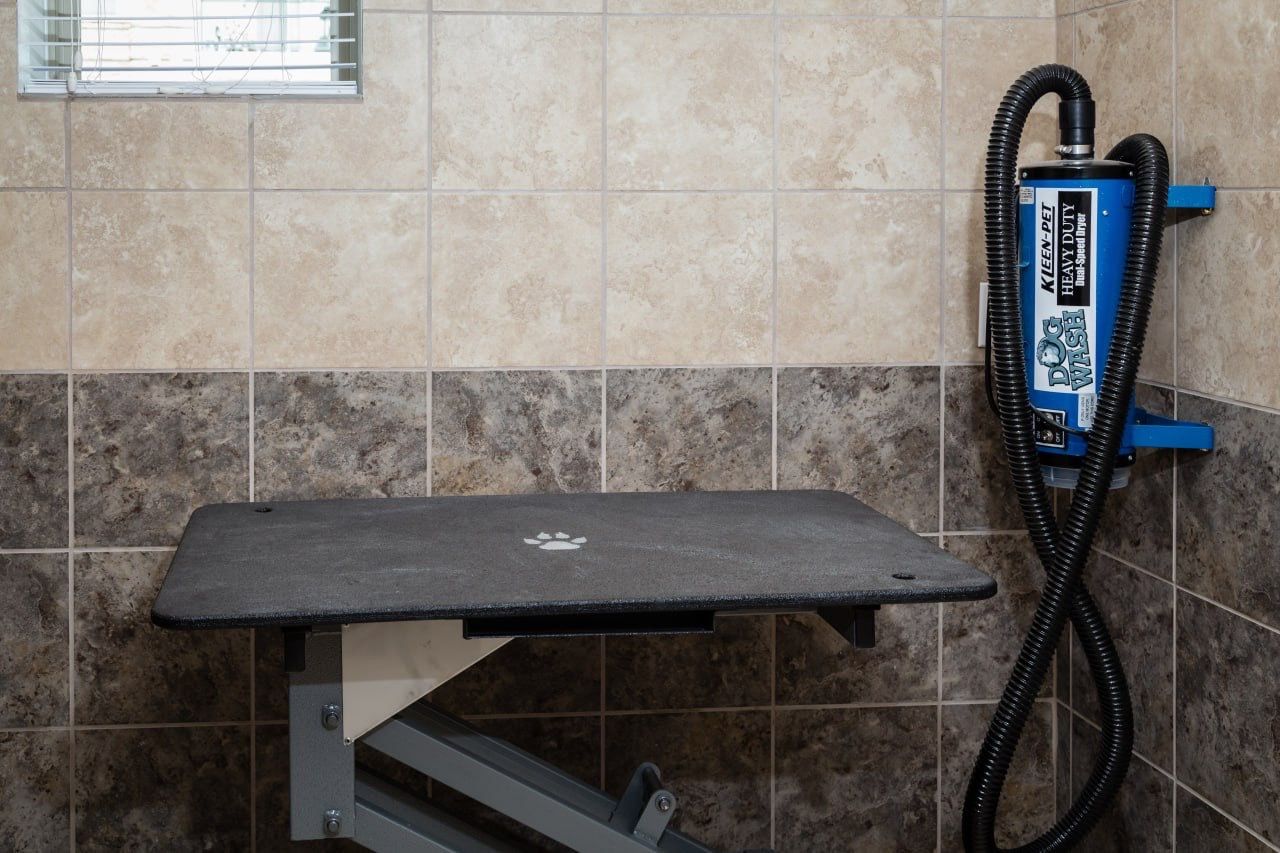 Pet grooming/wash station with a raised table and wall-mounted hose in tiled room.