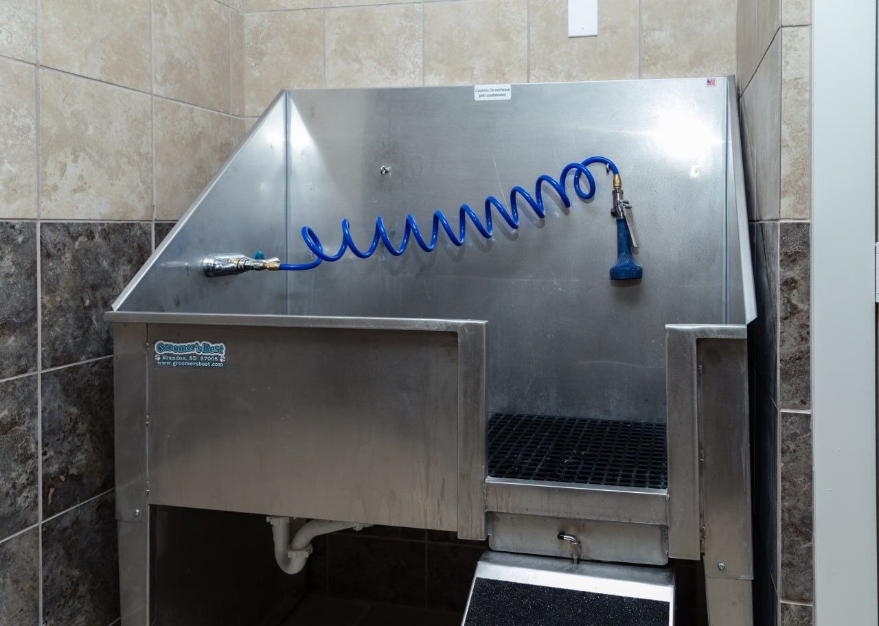 Communal stainless steel pet washing station with a blue coiled hose and spray nozzle.