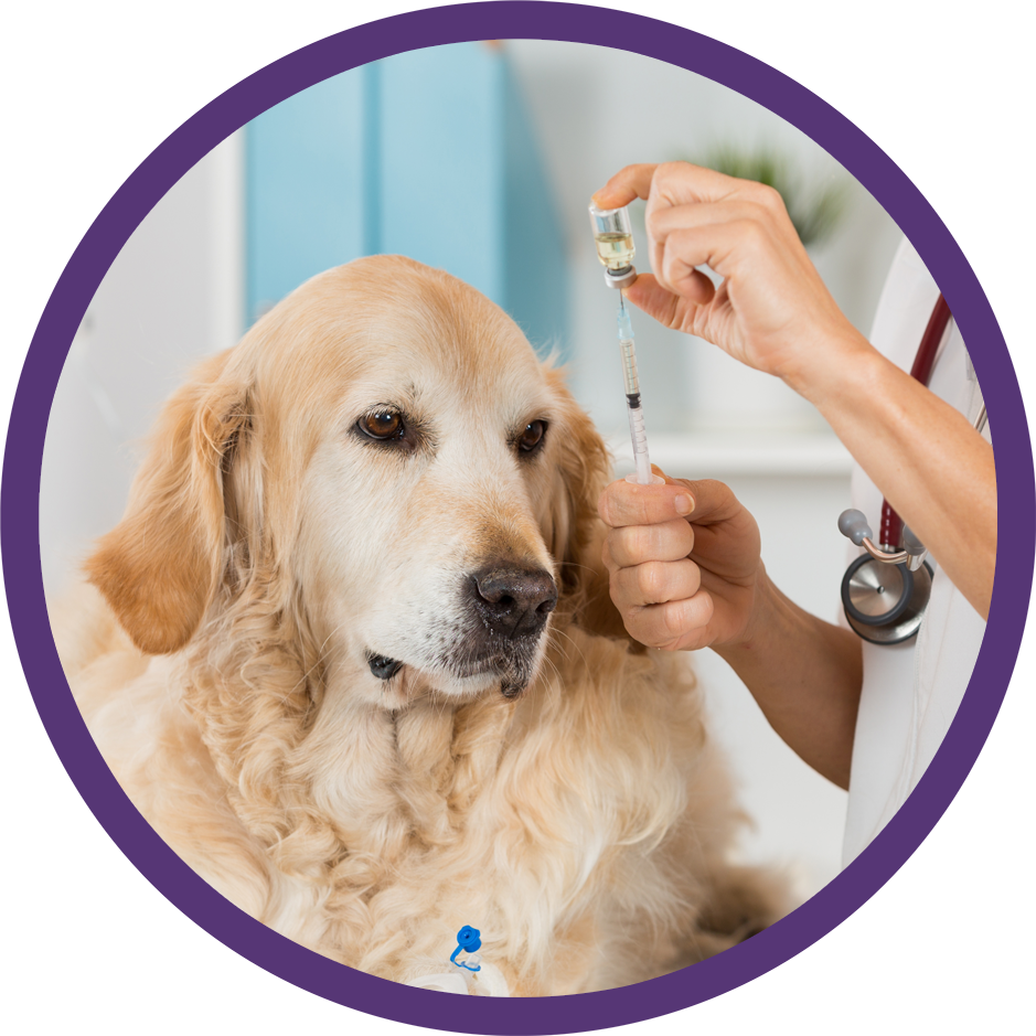 Our Veterinarians Taylorsville Veterinary Clinic