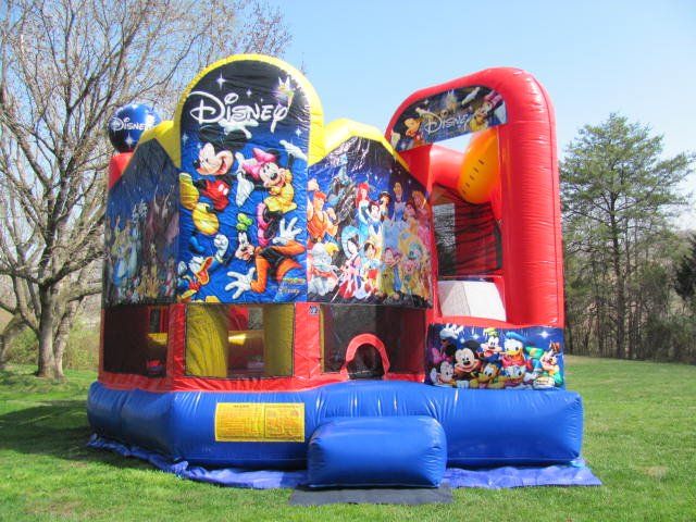 World of Disney (20 x 20)