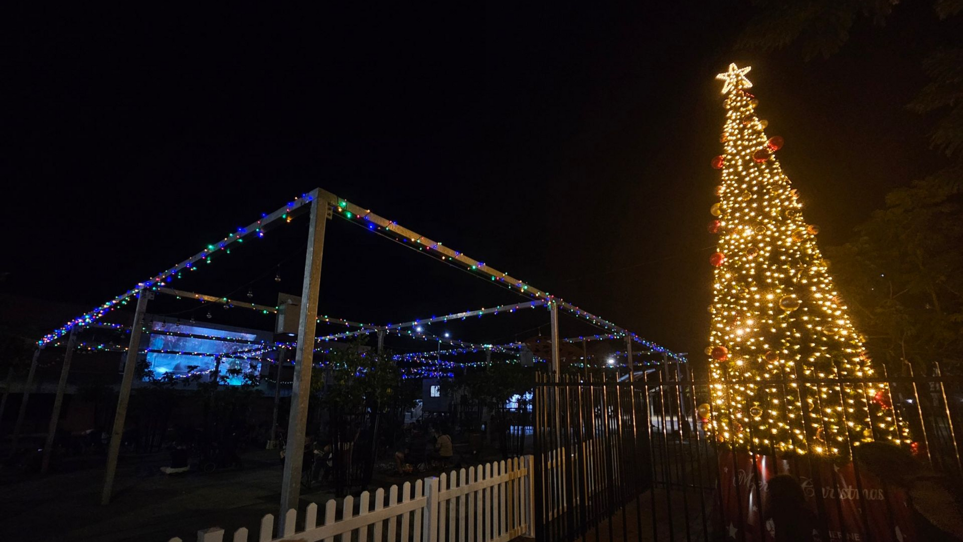 A tall, brightly lit Christmas tree stands at night next to a pavilion outlined with multi-colored string lights.