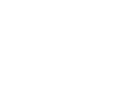 The mottola group logo - footer, go to homepage