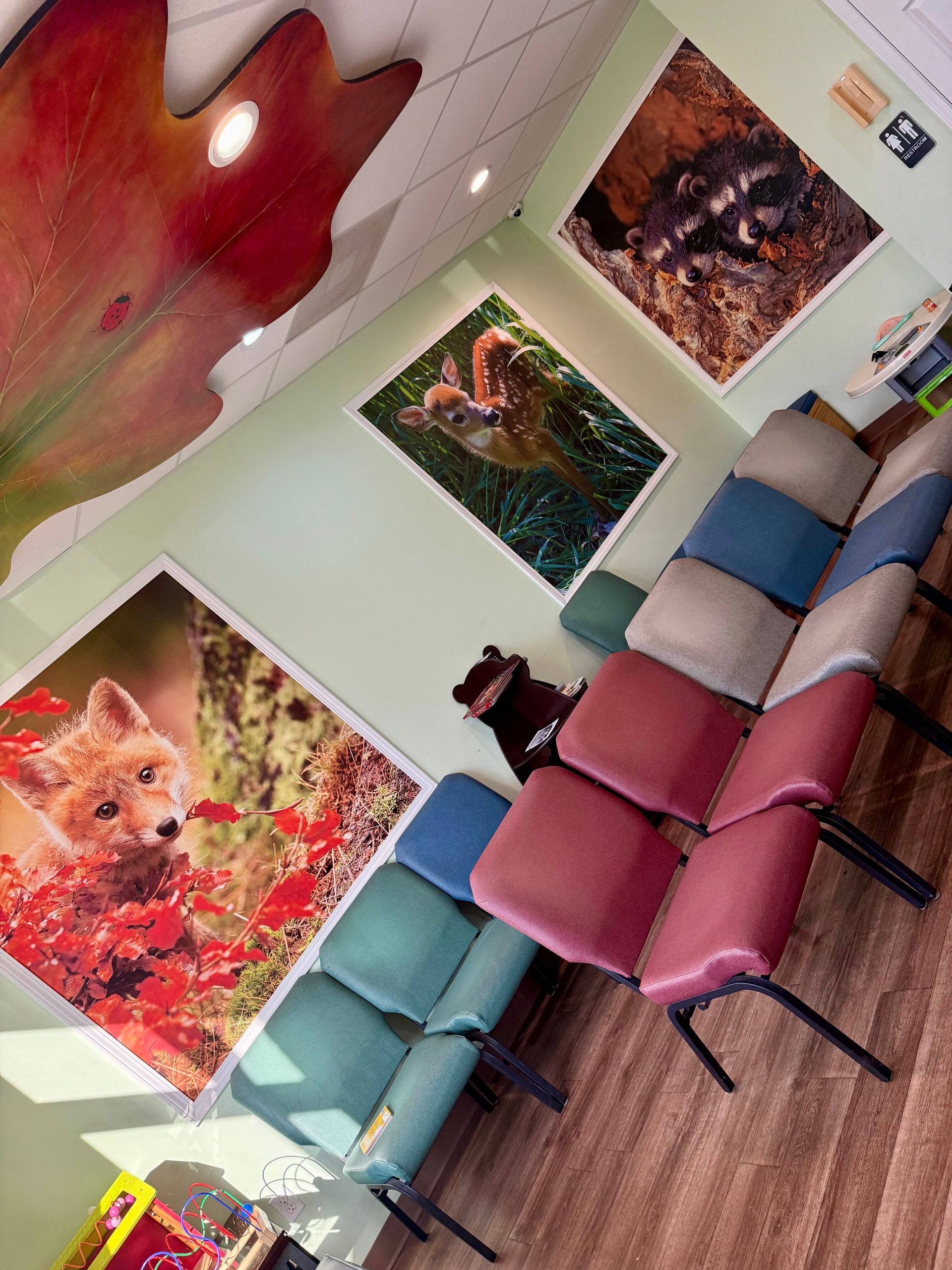 A waiting room with chairs and pictures on the wall