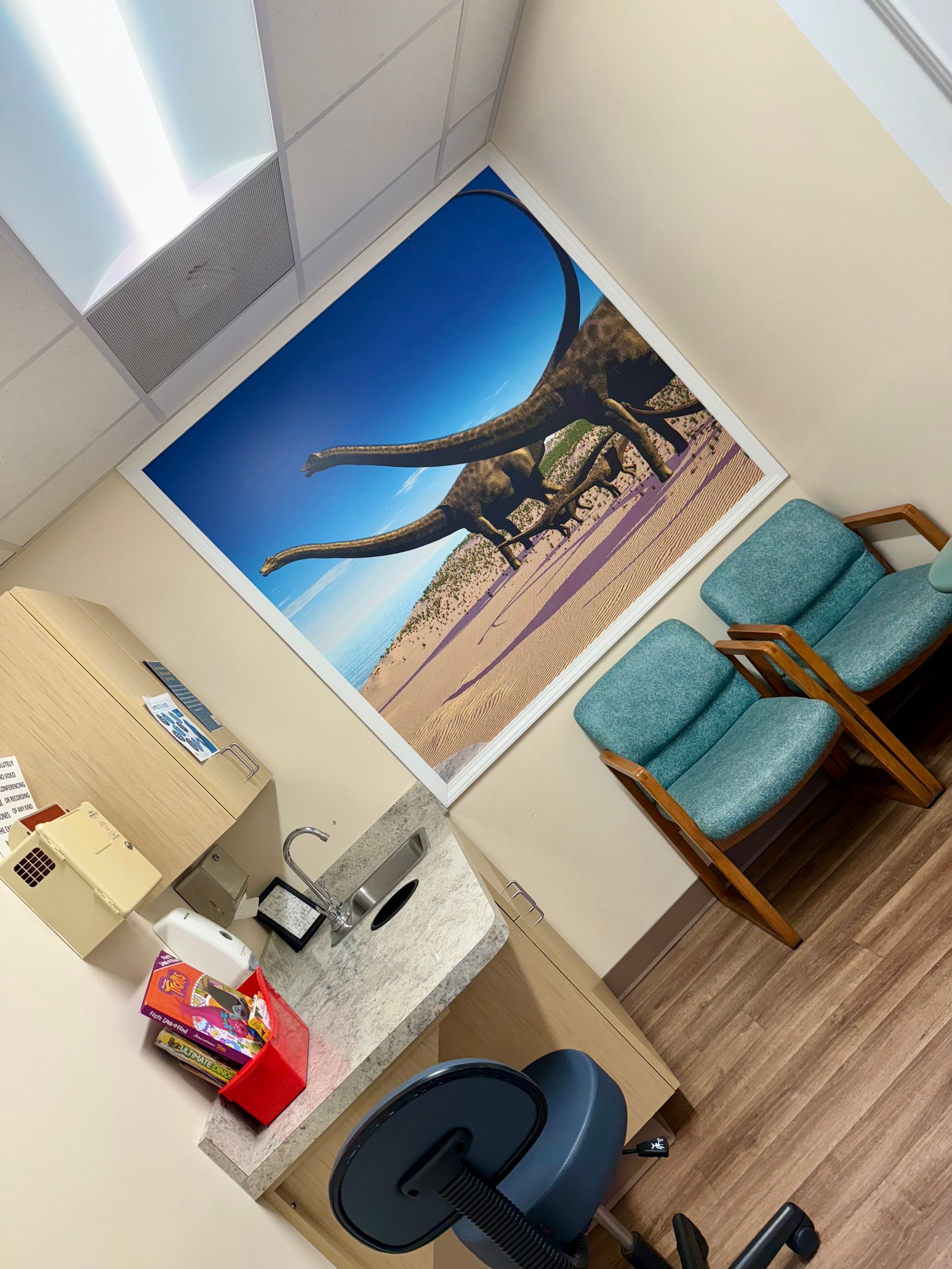 A room with a picture of dinosaurs on the wall