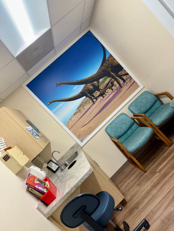 A room with a picture of dinosaurs on the wall