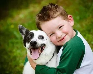 A young boy is hugging a black and white dog.