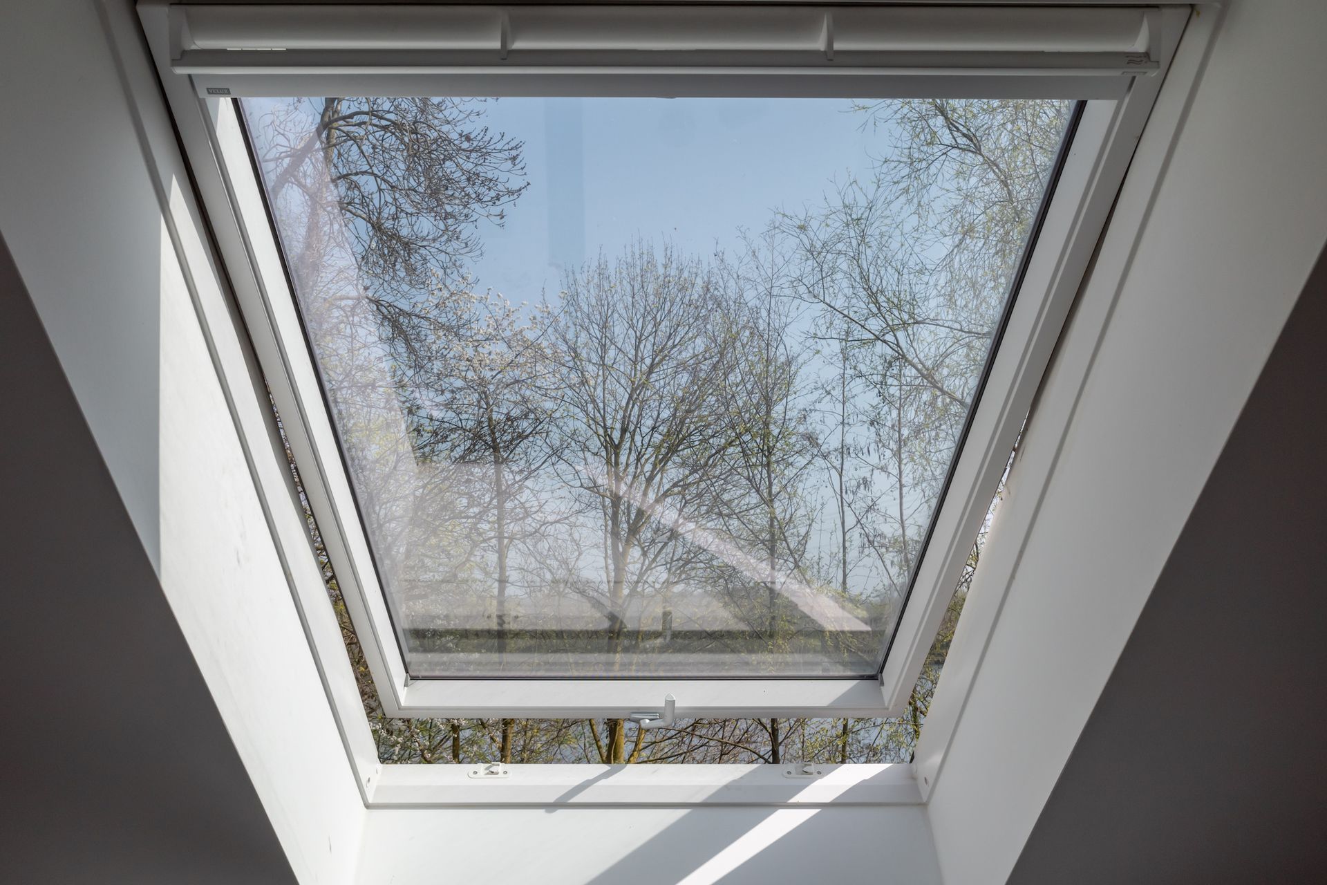 Rooftop skylights in a row on a flat roof under a blue sky, with trees in the background