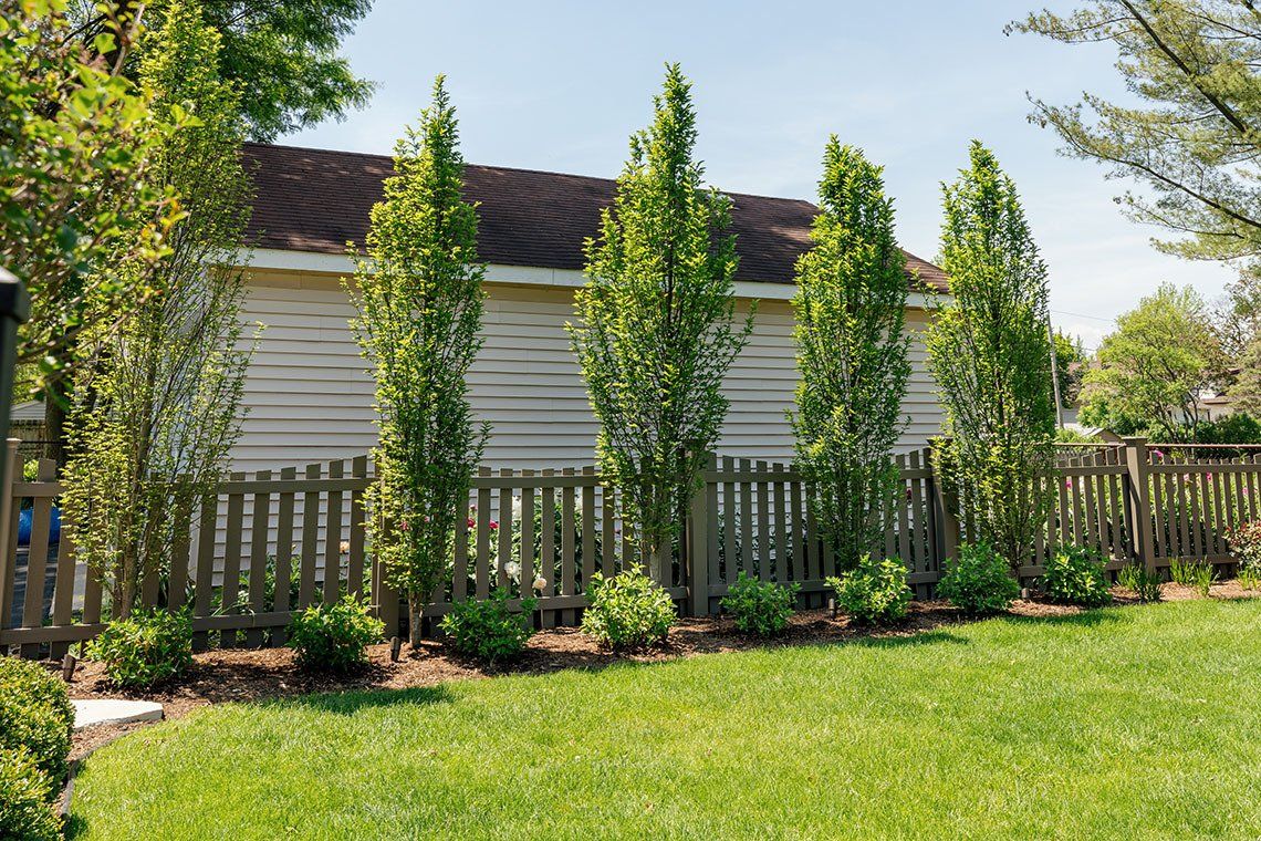 A backyard with a fence and trees in front of a house.