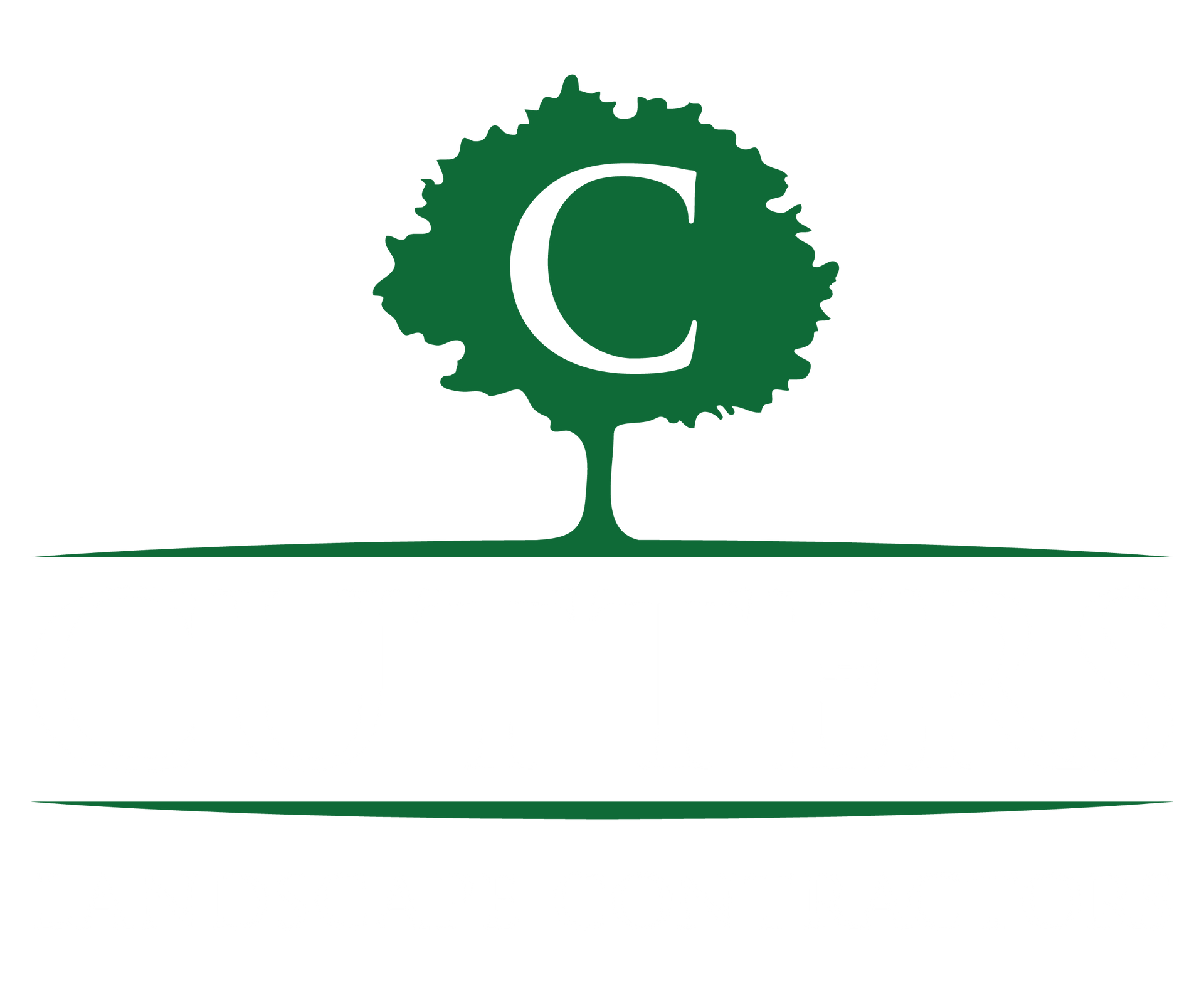 Meet Austin Lohan Cutter's Landscaping