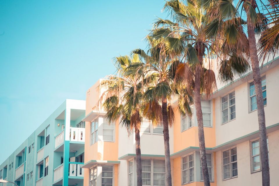 Tree Trimming — Art Deco South Beach Miami in Key West, FL