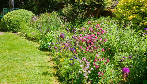 Lawn Care — Green Grass In Backyard in Key West, FL