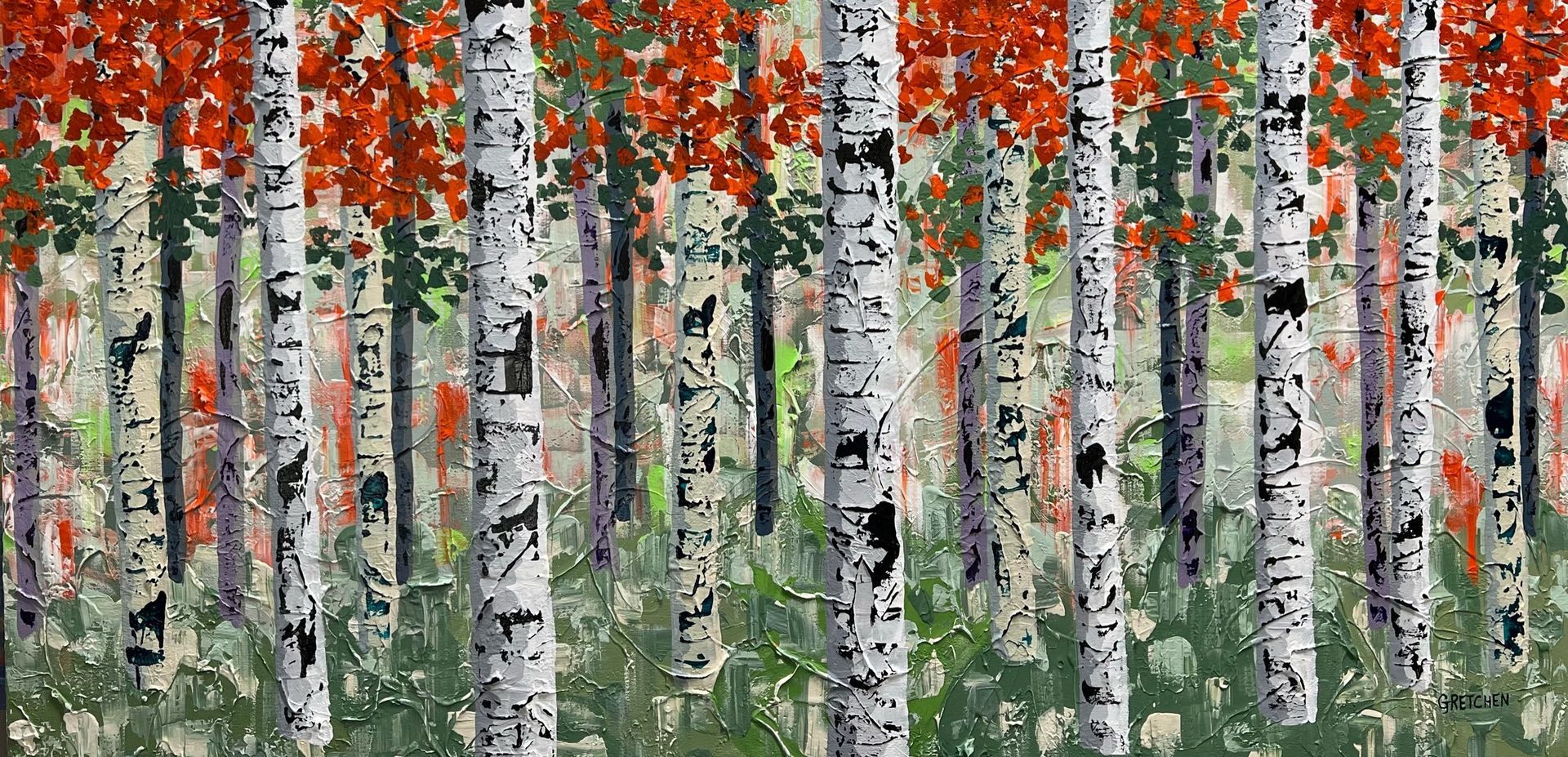 Aspen trees in a forest with red leaves, white bark with black markings, and green foliage below.