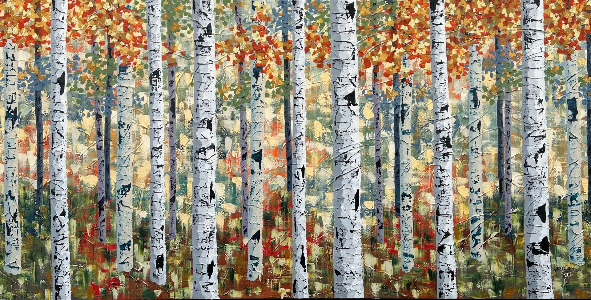 Aspen trees with white bark and colorful fall foliage in a forest.
