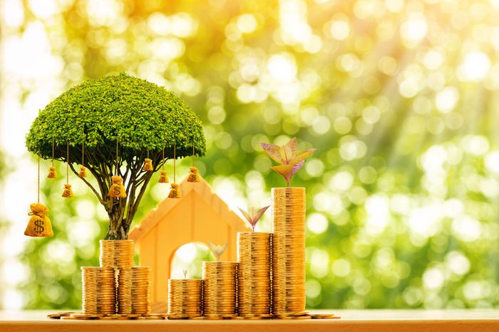Image depicts a bright, sunny, out of focus background, with a small wooden model of a house, gold coins stacked up in six piles and a little green tree with money bags hanging off it, as if to portray money growing on trees.