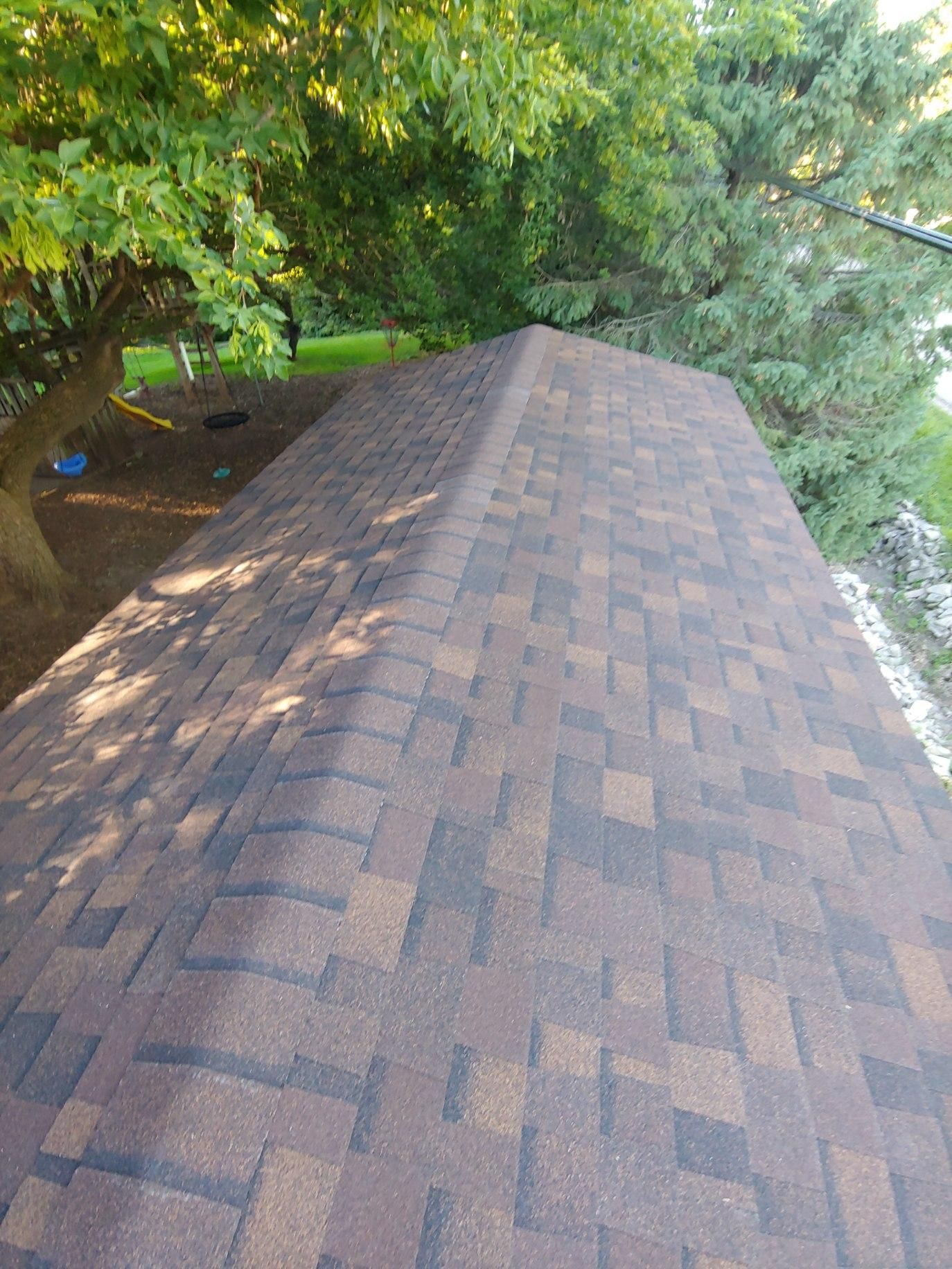 A close up of a roof with trees in the background.