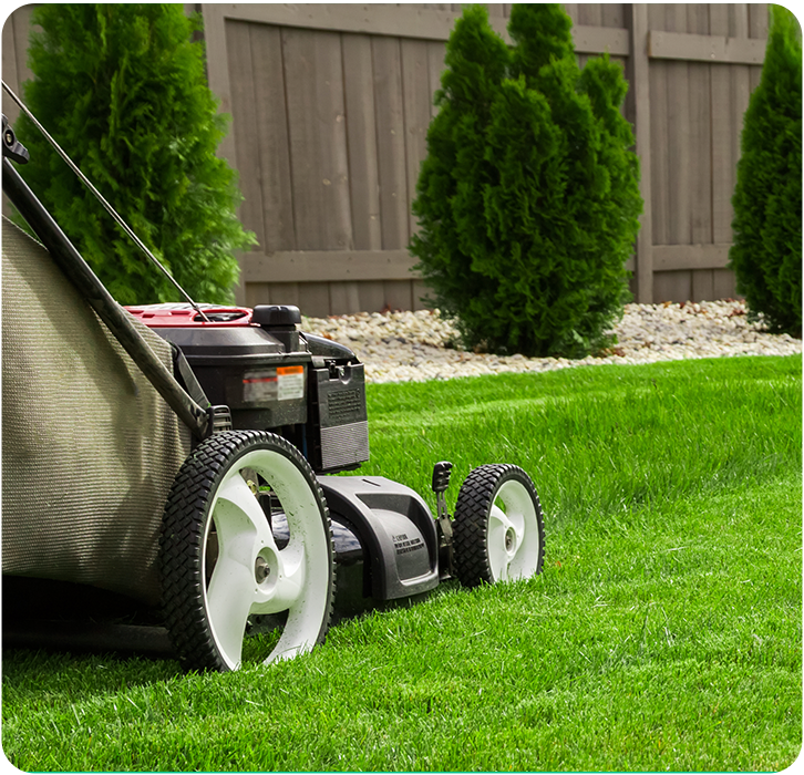 Lawn mower cutting a green lawn in a yard, with trees and a wooden fence in the background.