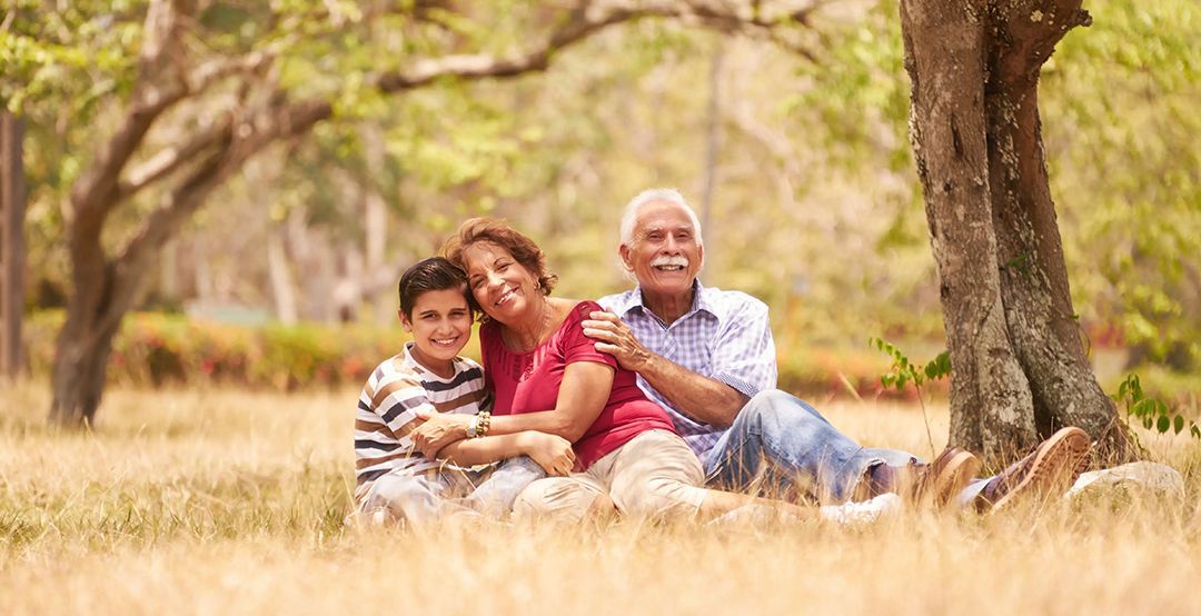 A family is sitting under a tree in a field.