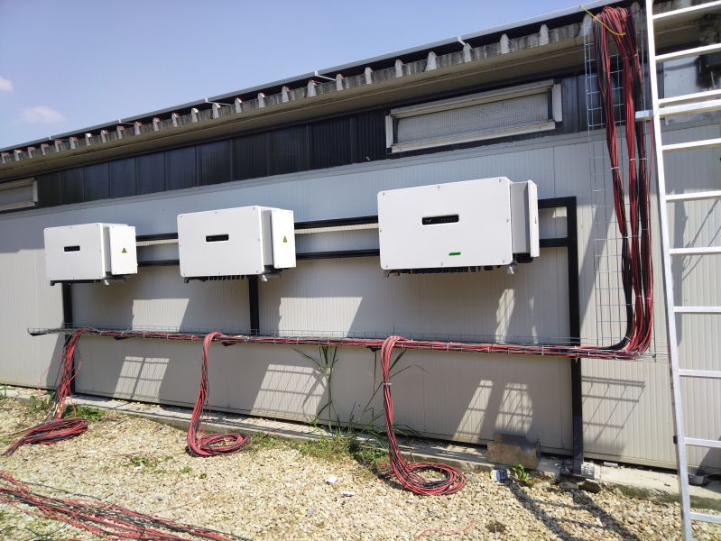  teckno costruzioni di nicu snc