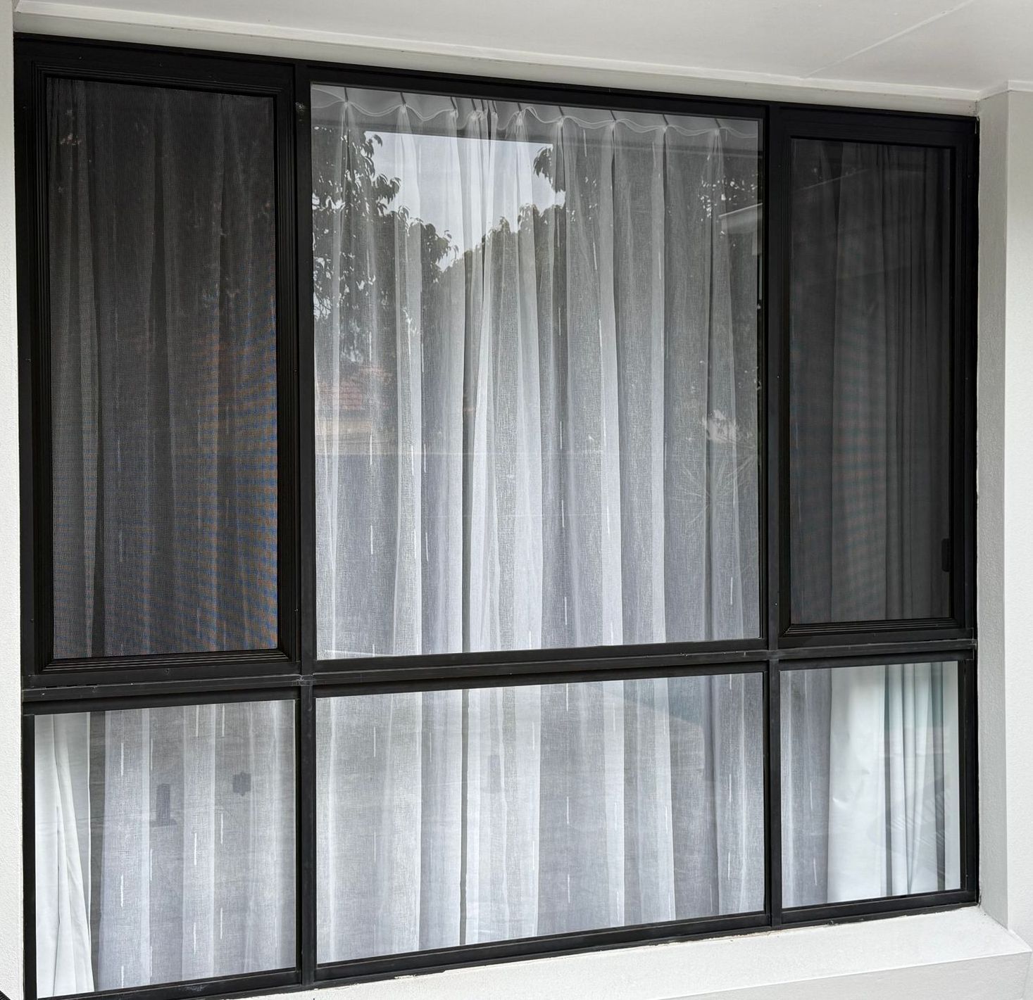 Newly replaced windows at a residential home.