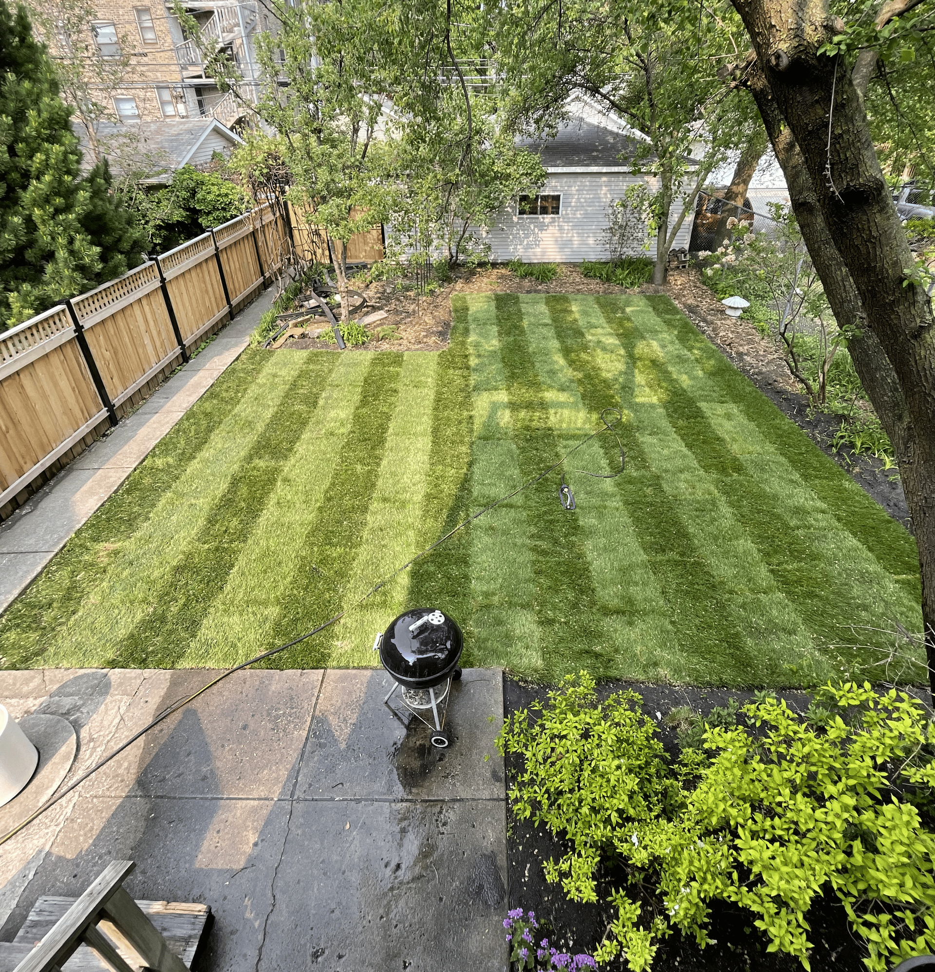 Backyard with striped green lawn, patio, black grill, and wooden fence.