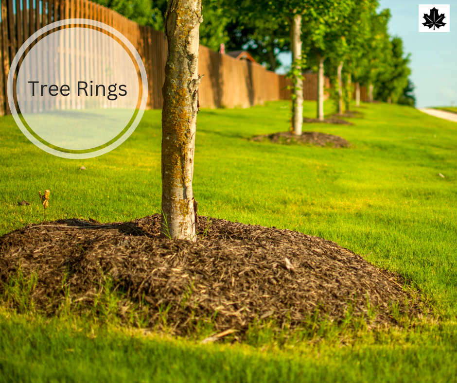 5 Quick Tips For Landscaping and Snow Removal