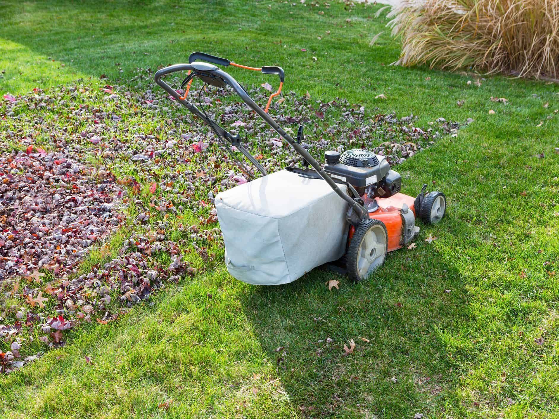 Lawnmower with full bag mowing a lawn with leaves on a sunny day.